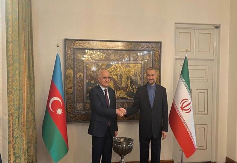 Заместитель премьер-министра Азербайджана встретился с министром иностранных дел Ирана
