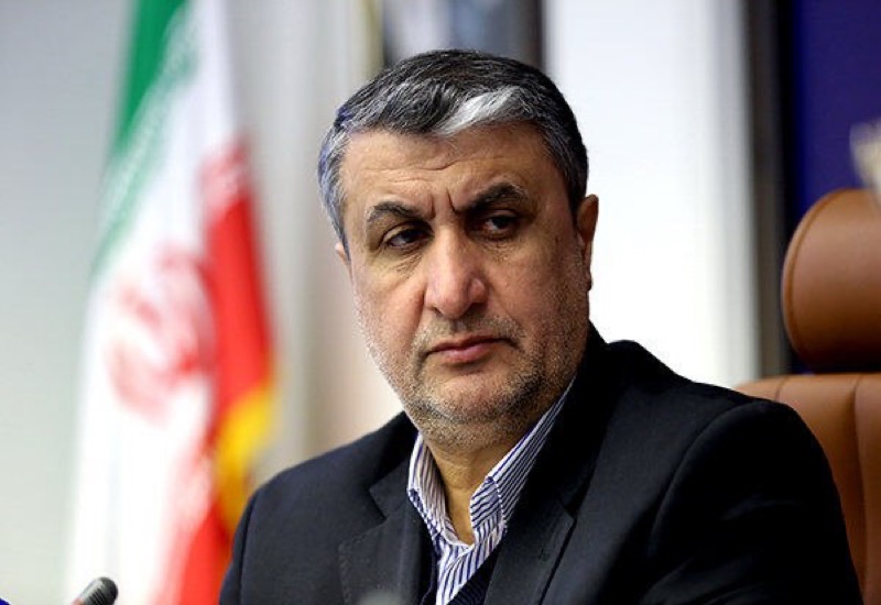 Глава Организации по атомной энергии Ирана: Антииранская политическая полемика не имеет никакого эффекта