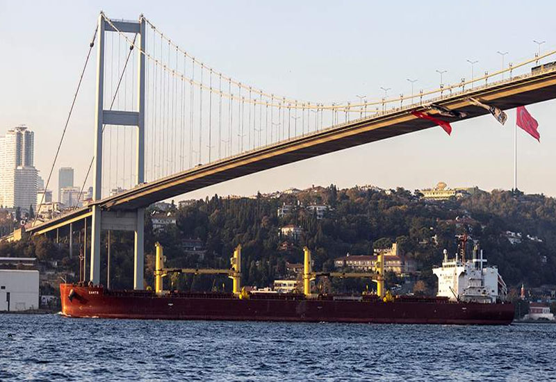 В Турции обвинили Запад в недостижении цели зерновой сделки