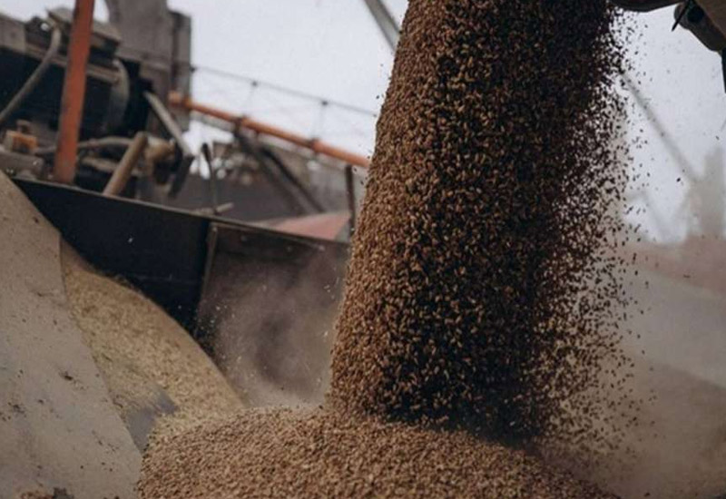Турция собирается предложить продлить зерновую сделку на один год