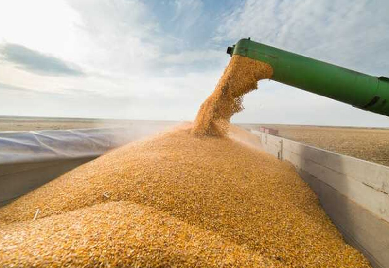 Россия заявила о продлении зерновой сделки