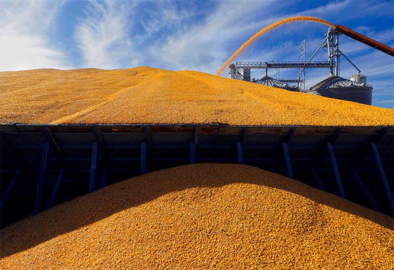 Турция ведет переговоры с ООН и Западом по возобновлению зерновой сделки