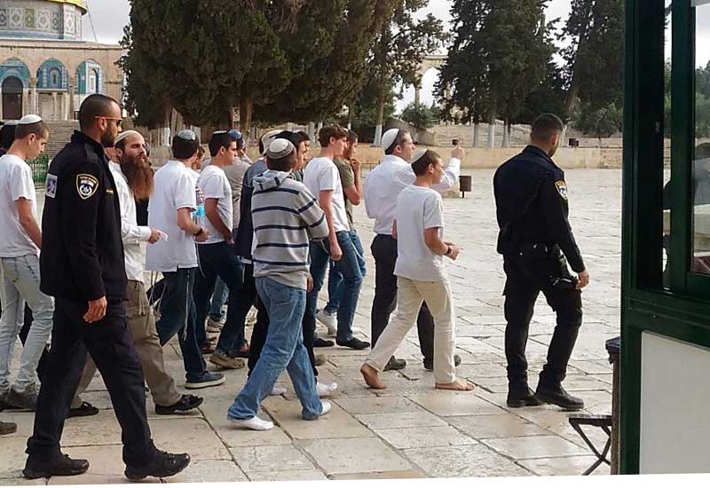 Израильские поселенцы вновь вторглись в мечеть Аль-Акса