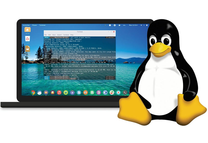 Linux побила рекорд по установкам на ПК